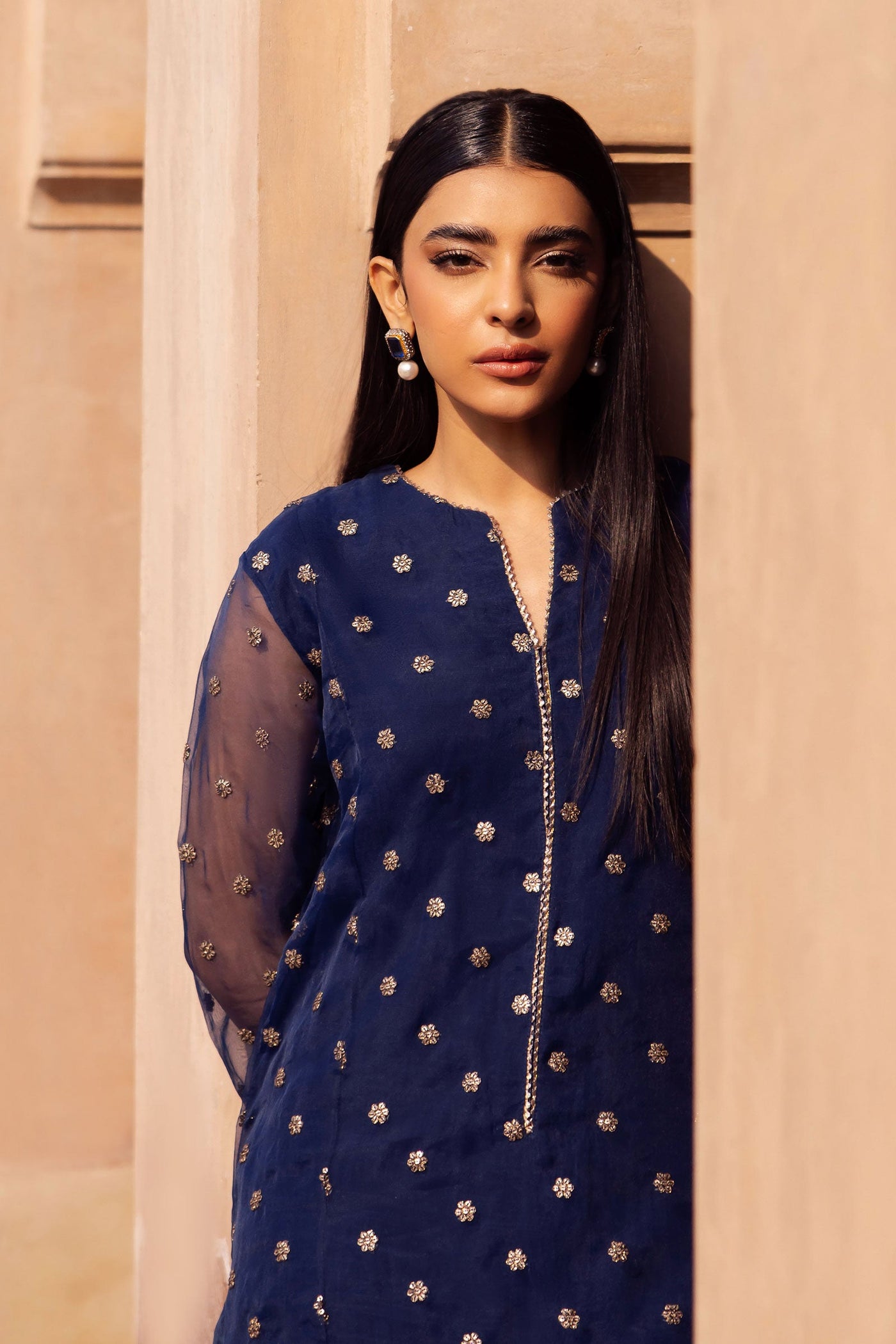 2 Piece Embroidered Organza Suit | MB-F24-505