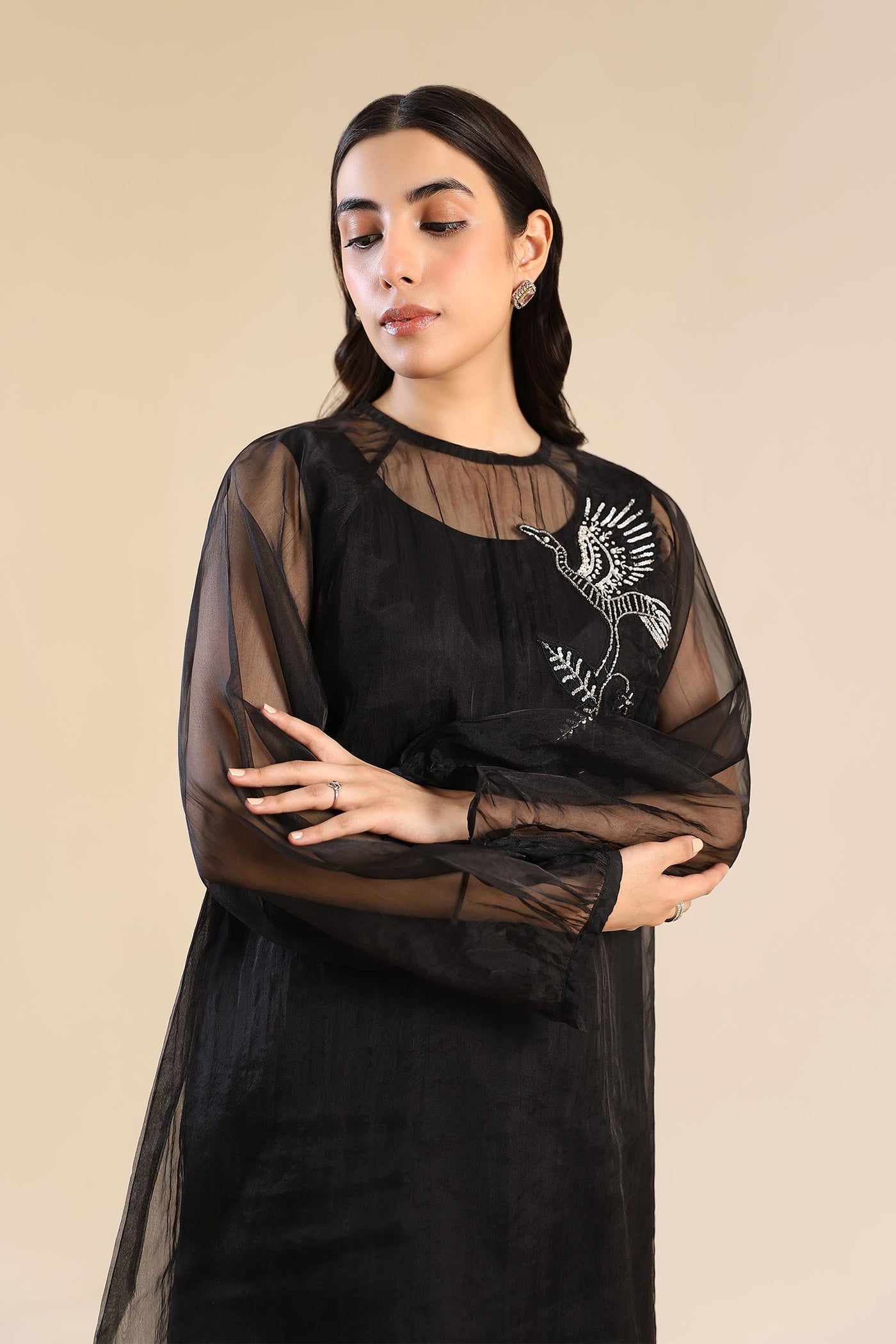 2 Pc Embroidered Organza Suit | MB-F24-602